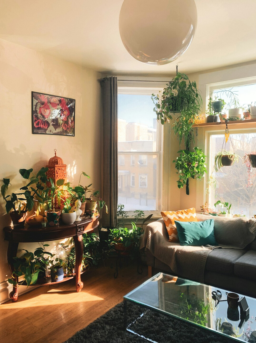 indoor plants living room