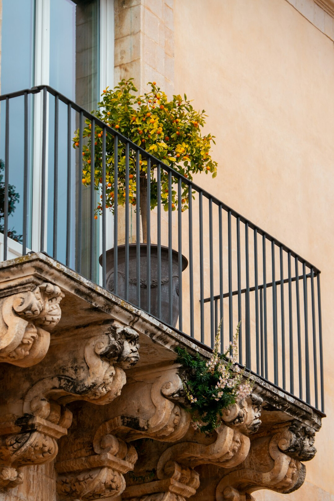 herbs in pots on balcony